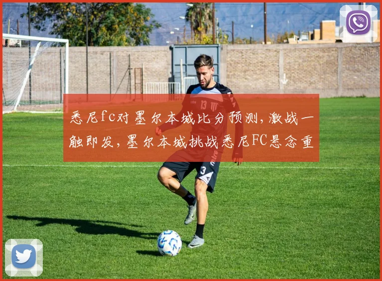 悉尼fc对墨尔本城比分预测,激战一触即发,墨尔本城挑战悉尼FC悬念重重
