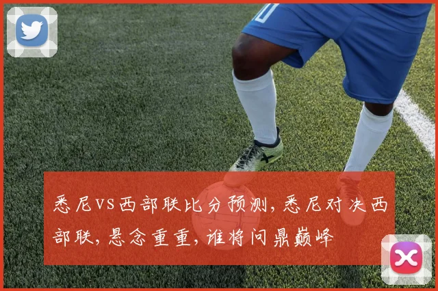 悉尼vs西部联比分预测,悉尼对决西部联,悬念重重,谁将问鼎巅峰