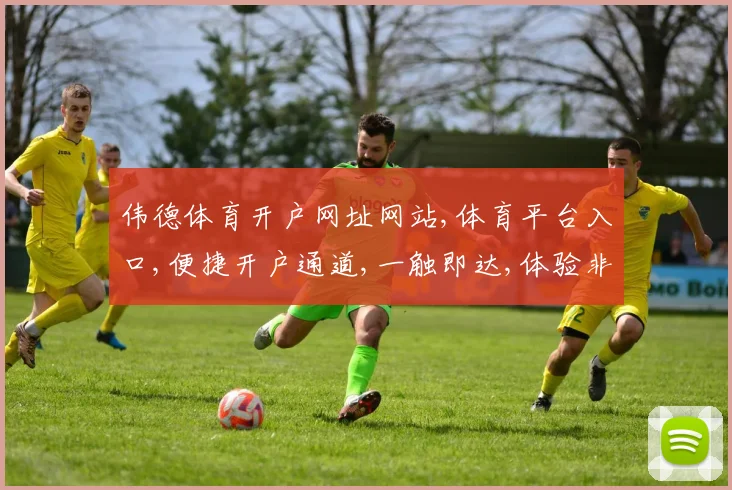 伟德体育开户网址网站,体育平台入口,便捷开户通道,一触即达,体验非凡